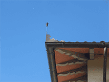 Opere di lattoneria: dettagli che fanno la differenza per il tuo tetto